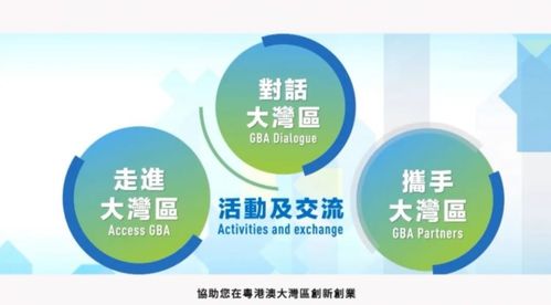 粵港澳大灣區(qū)青年創(chuàng)業(yè)線上交流會在穗舉行 聚焦信息技術(shù)咨詢服務(wù)發(fā)展